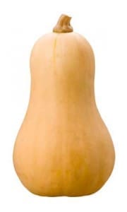 butternut-squash