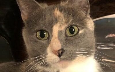 Emma “Puss” – My Promise for 2025